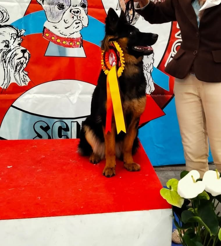 Roujenka Joyau De Bohême