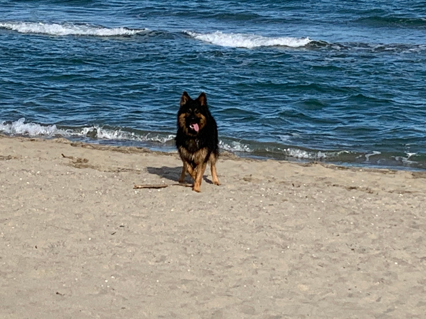 Hendrix od brány ráje